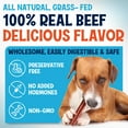 thumbnail image 2 of Fetcheroni Odor-Free Thin Bully Sticks for Dogs, 12 Inch, 10 Pack, 2 of 7