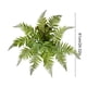 thumbnail image 3 of CaiYueKe Artificial Boston Fern Plants Bushes Fake Shrubs Bush Greenery Plants Faux Fern Plant for Outdoors UV Resistant Garden Plants or Home Office Desk Indoor Decor, 3 of 7