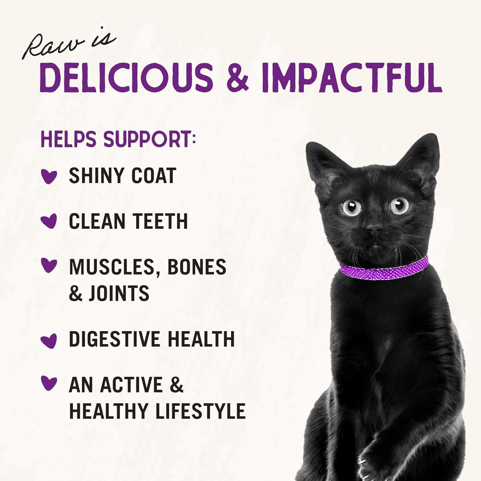 Stella & Chewy's Freeze-Dried Morsels for Cats - Yummy Lickin' Salmon & Chicken - 1 Ounce Bag