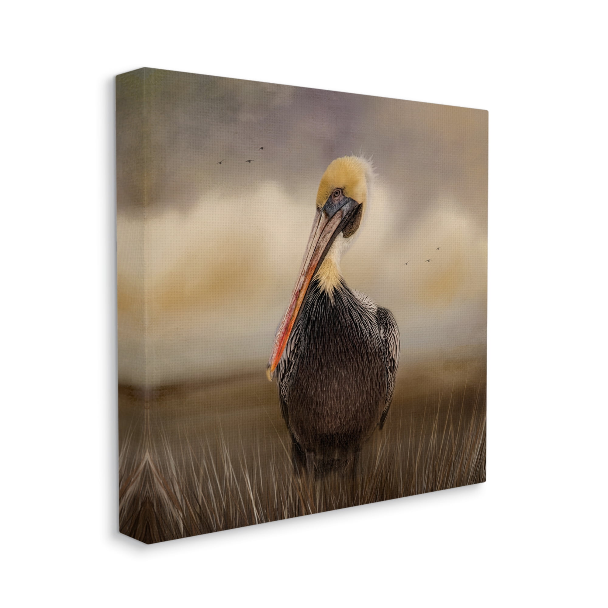 Stupell Pelican Cloudy Nature Sky Wildlife Animals & Insects Photography Gallery Wrapped Canvas Print Wall Art