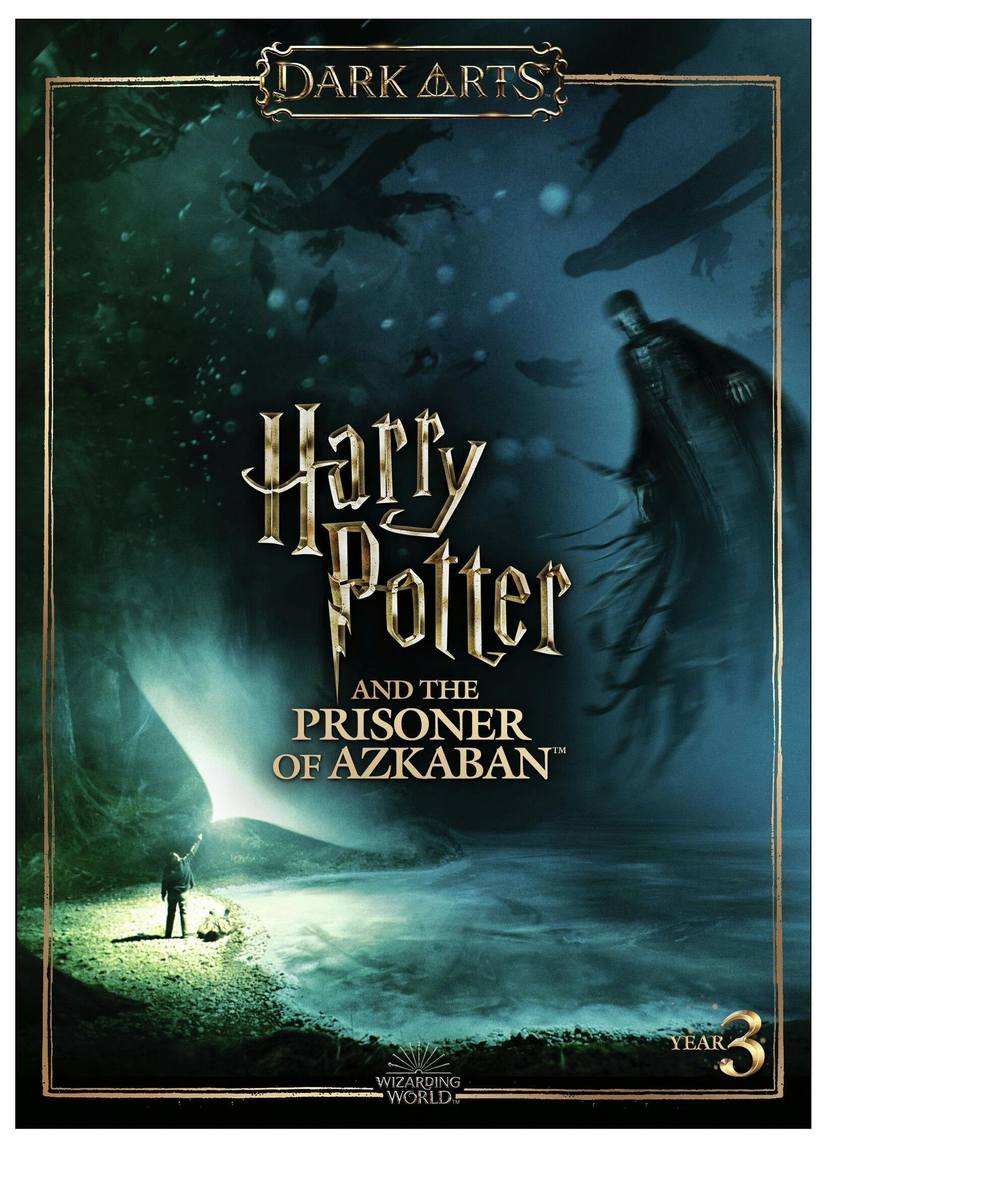 その他 Harry Potter and the Prisioner of Azkaban / Harry Potter and the Goblet of Fire [DVD] Amazon.com: Harry Potter and the Prisoner of Azkaban (Single