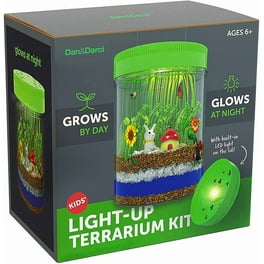 Stem jr wonderlab walmart sale