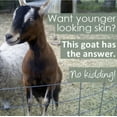 thumbnail image 2 of Natures Commonscents  Goats Milk & Oatmeal Soap - Pack of 3, 2 of 6