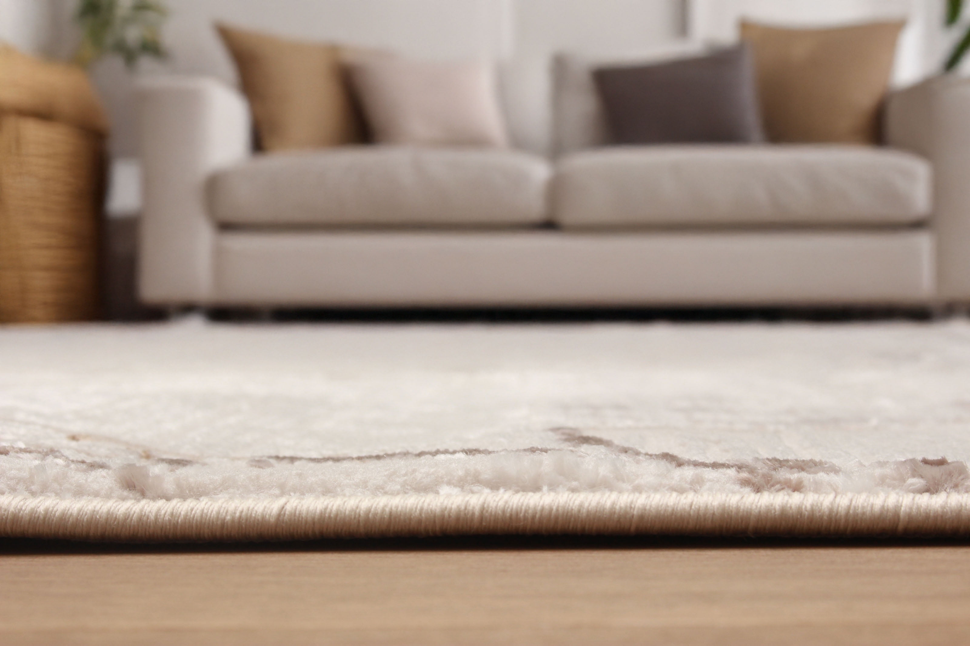 ECARPET Vivian Tapis Contemporain / Moderne pour Salon, Chambre, Salle A Manger, Entrée, Couloir et Plus Encore.