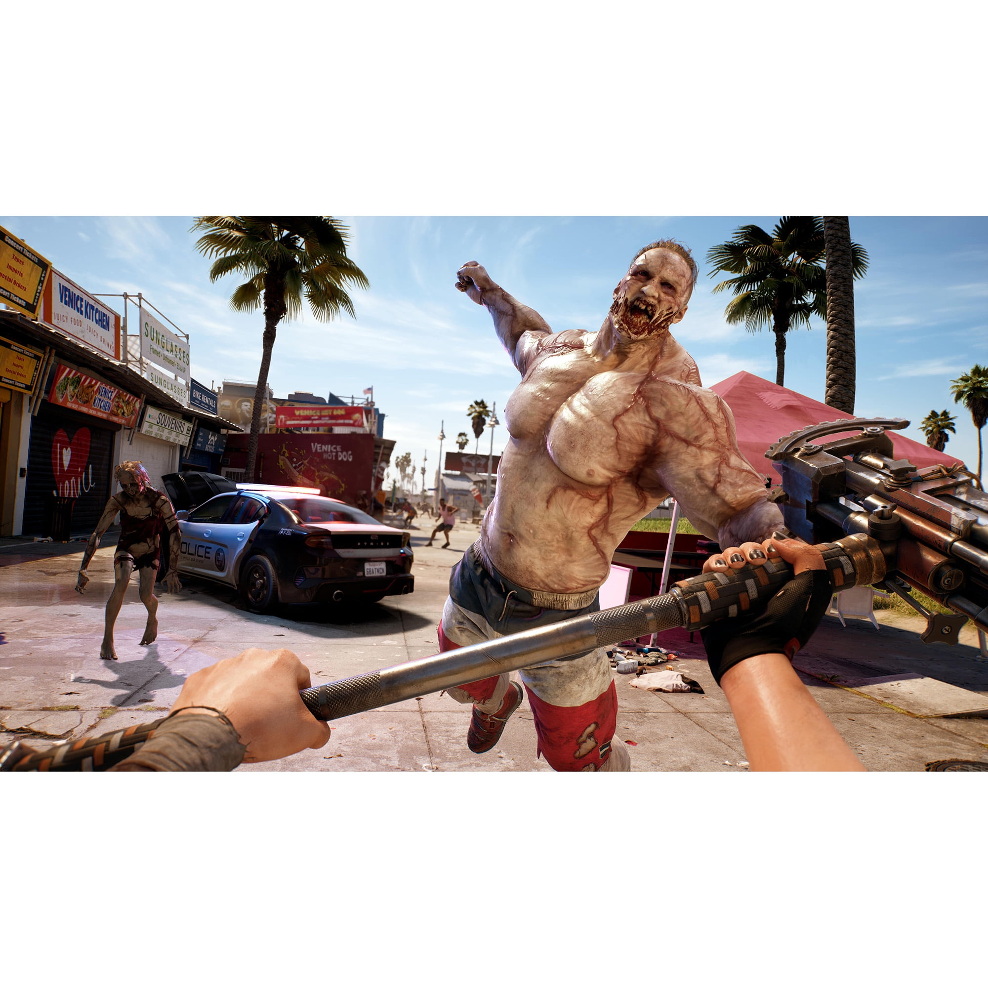  Dead Island 2: Day 1 Edition - PlayStation 4 : Plaion Inc:  Everything Else