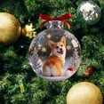 thumbnail image 4 of Tyidzon Crystal Glass Christmas Ball Ornaments - 3.1" Cute Dog Christmas Tree Decorations Clear Hanging Balls for Xmas Trees Home Party Indoor Decor(Corgi), 4 of 6