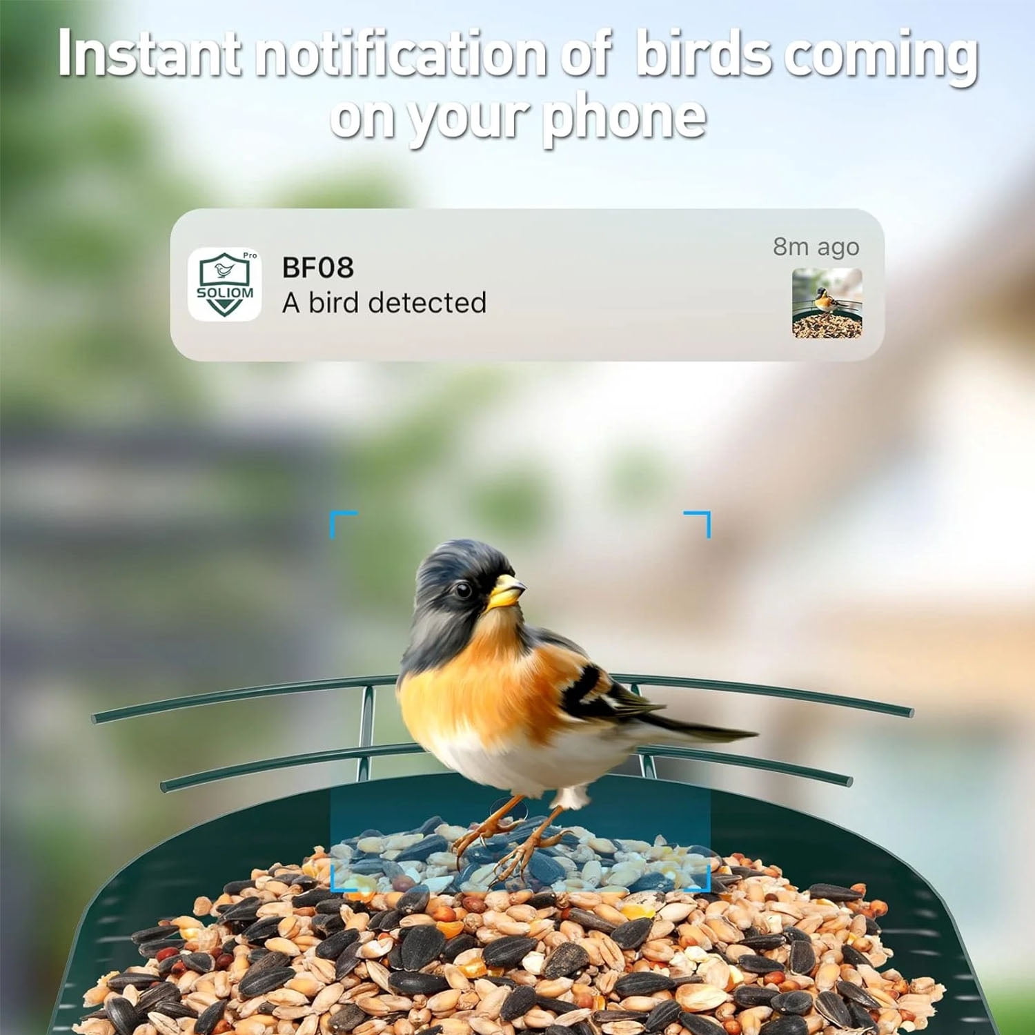 Soliom Metal Bird Feeder Camera, 2.7L Seed Capacity, AI Species Identification, 2K Live View, Instant Alerts, 5W Solar Panel, Squirrel-Proof, Green