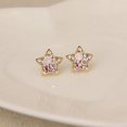 thumbnail image 5 of Ayyufe Women's Elegant Rhinestone Star Shape Ear Stud Earrings Party, 5 of 7