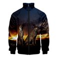 thumbnail image 3 of Chaqueta con cremallera y estampado 3D de leopardo de Animel más nueva para hombres y mujeres, ropa informal, chaquetas de manga larga, tops de verano y primavera, 3 of 5