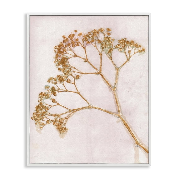 Stupell Industries Bohemian Cottage Botanical Branches White Framed Giclee Art, 11 x 14, by Pernille Folcarelli