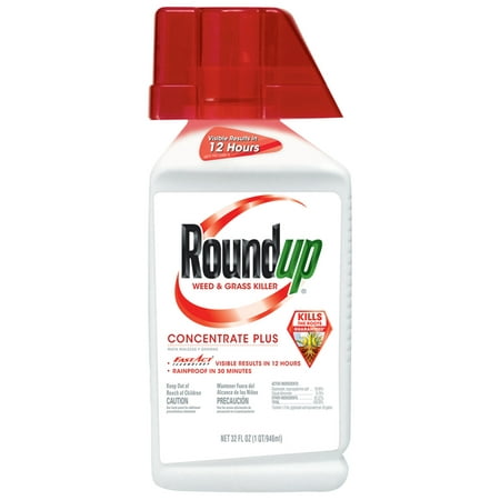 Roundup Weed & Grass Killer Concentrate Plus, 32 oz., Results in 12 (Best Weed Killer On The Market)