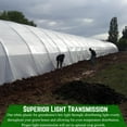 thumbnail image 5 of Farm Plastic Supply - String Reinforced 4 Year UV Resistant 10 mil White Greenhouse Plastic Sheeting - 4 Year UV Resistant Polyethylene Greenhouse Film, Hoop House Green House Cover (20' x 10'), 5 of 6