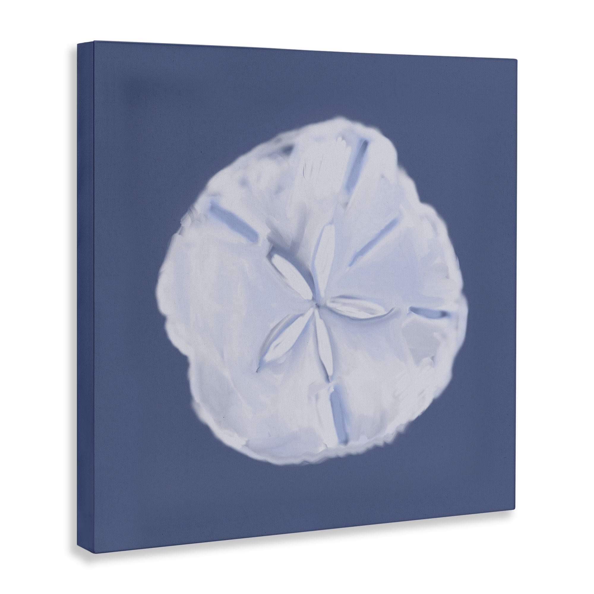 Stupell Industries Blue Nova Sand Dollar Animals & Insects Painting Gallery Wrapped Canvas Art Print Wall Art, 36 x 36