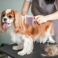 thumbnail image 4 of Cepillo Para El Aseo De Perros Y Gatos. Herramienta Suave Para Eliminar El Pelo Muerto Con Plástico, Para Uso En Interiores Y Exteriores., 4 of 6