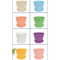 thumbnail image 4 of 5PCS Colourful Small Plastic Flower Pot Succulent Plant Flowerpot Home Decor, 4 of 12