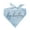 Baby Blue, variant on Big Brother Script Triangle Dog Bandana