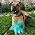 thumbnail image 3 of Juguete para Perro SmartPetLove Tender-Tuffs Pequeño de Peluche con Sonido, 3 of 7