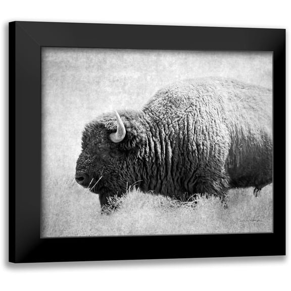 Van Swearingen, Debra 14x12 Black Modern Framed Museum Art Print Titled - Buffalo II BW