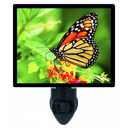 Butterfly Decorative Photo Night Light Plus One Extra Free Switchable Insert. 4 Watt Bulb. Image Title: Summer Monarch. Light Comes with Extra Bulb.