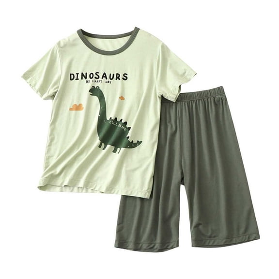 Hiijoy Toddler Boys Pajamas Dinosaur Print Short Sleeve T Shirt Shorts Sleepwear Loungewear, Sizes 3-4T