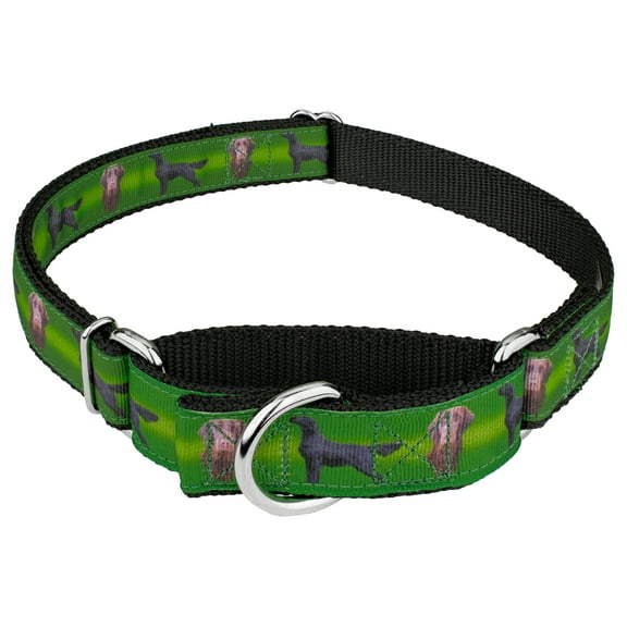 Country Brook Petz® Flat Coated Retriever Ribbon Martingale Dog Collar, Large