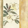 thumbnail image 2 of Paschke, Chris 12x12 White Modern Wood Framed Museum Art Print Titled - Ochre Rhododendron, 2 of 4