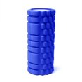 thumbnail image 1 of Zenzation PurAthletics Rouleau de mousse texturé, bleu, 1 of 5