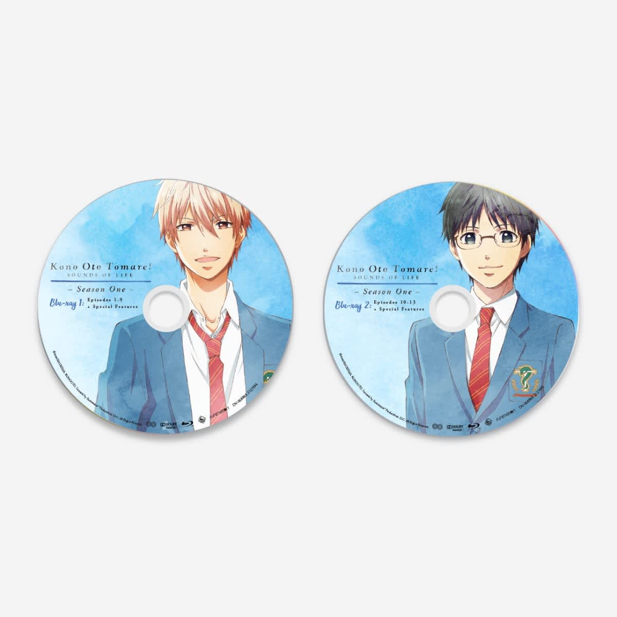その他 Kono Oto Tomare!: Sounds of Life - Season One [Blu-ray] Import Imported anime Blu-rayDisc Kono Oto Tomare! SOUNDS OF LIFE