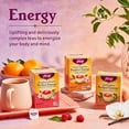 thumbnail image 5 of Yogi Tea - Morning Energy Variety Pack (3 Pack) Includes Peach Bergamot Bright Day, Sweet Tangerine Positive Energy, Spiced Blackberry Focus - 48 Organic Tea Bags, 5 of 6