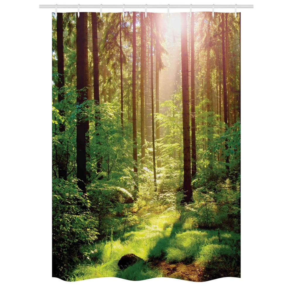 Forest Stall Shower Curtain, Forest in Spring Time Sunset Moss Woods