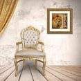 thumbnail image 3 of Pinto, Patricia 12x12 Gold Ornate Wood Framed with Double Matting Museum Art Print Titled - Safari Script I, 3 of 4
