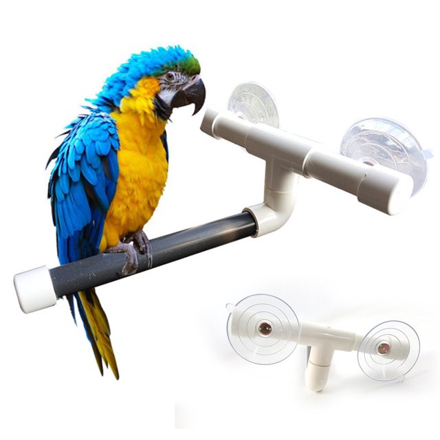 Pet Bird Perches Wall Suction Cup Toys Paw Grinding Shower Stand Parrot