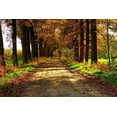 thumbnail image 1 of Autumn Country Road - Canvas OR Print Wall Art, 1 of 1