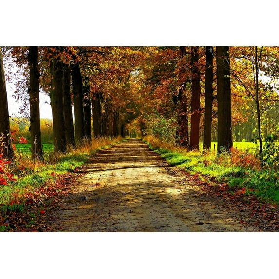 Autumn Country Road - Canvas OR Print Wall Art