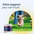 thumbnail image 5 of Honest Paws Dog Mobility Supplement- Hip and Joint Powder for Bone Health, 5 of 9