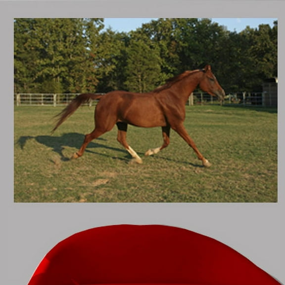 Wallhogs Horse VI Wall Mural