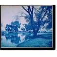 thumbnail image 2 of Historic Framed Print, Cattle pasture at Belleview - 2, 17-7/8" x 21-7/8", 2 of 9