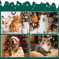 thumbnail image 5 of Black Pañuelo navideño para perro y mascota, suministros para disfraz de cachorro y gato, para vacaciones navideñas, 5 of 5