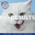 thumbnail image 5 of Naturel Promise Fresh Dental Cat Breath Freshener Water Additive for Cats, 18 oz Bottle, 5 of 9