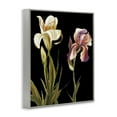 thumbnail image 4 of Stupell Industries Alluring Iris Blooms Botanical & Floral Painting Gray Framed Art Print Wall Art, 16 x 20, 4 of 10