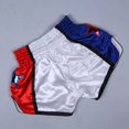 thumbnail image 4 of Lefu Anotherboxer Unisex Muay Thai Boxing Shorts Breathable MMA Kickboxing Fighting, 4 of 8