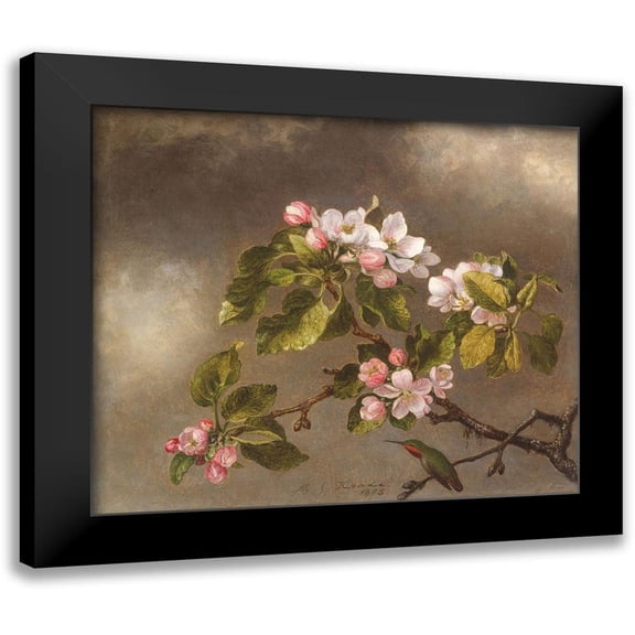 Heade, Martin Johnson 13x12 Black Modern Framed Museum Art Print Titled - Hummingbird and Apple Blossoms