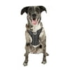 Vibrant Life Flex Knit Dog Body Harness, Black Assorted, (Large)