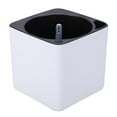 thumbnail image 1 of Self-watering planter with water level indicator, 1 of 2