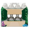 thumbnail image 6 of POLAND SPRING Brand 100% Natural Spring Water, 8-ounce mini plastic bottles (Pack of 48), 6 of 9