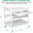Mobile Medical Cart 3 Tier Beauty Salon Rolling Cart Ultrasound Trolley with Drawers Wheels 330