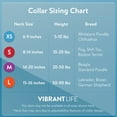 thumbnail image 5 of Vibrant Life Dog Collars, Solid Basic Pet Collar, Pink, Large, 5 of 7