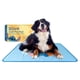 thumbnail image 1 of Cool Mat The Green Pet Shop Cool Pet Pad XL Disney Stitch, 1 of 6