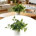 thumbnail image 3 of Artificial Pothos Plants with Pots, Realistic Hanging Plants in Plastic Pots, Indoor and Outdoor Decor for Home, Shelves, Bathrooms, Kitchens, and Desktop Floral Arrangements, 3 of 10