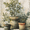 Botanical Potted Plant Textured Art, variant on UXIEQU Easter Cross Flower Canvas Wall Art Print 15.75x11.81 Inches